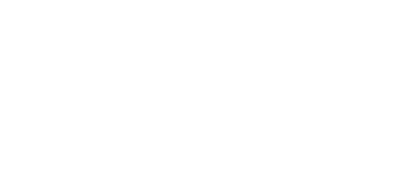 American Solution premium bentonite cat litter brand logo