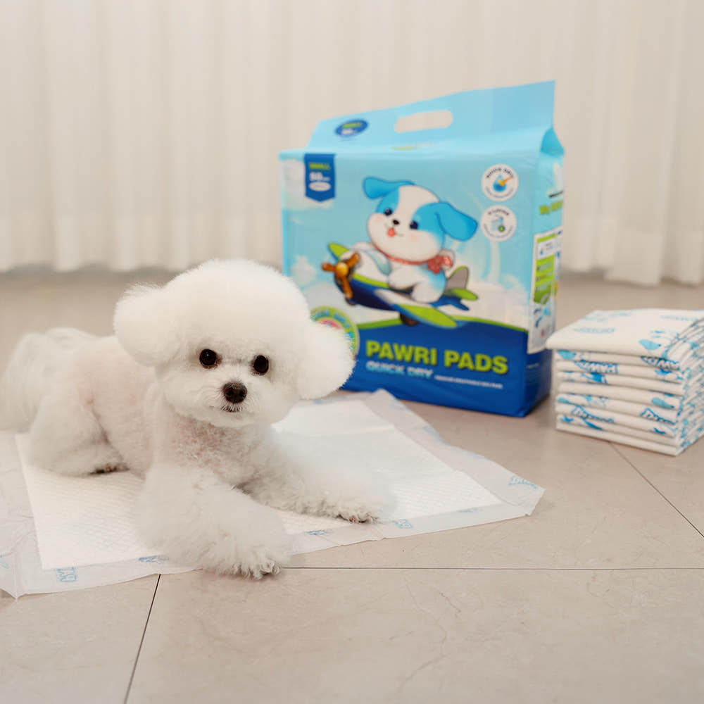 White pet sitting on a PAWRI potty pad